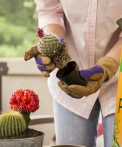 Miracle-Gro Soil & Soil Amendments 8-Quart Potting Soil Mix -Landscaping Online Outlet 05444619