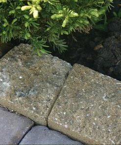 Thing Insignia 5-in L x 8-in W x 3-in H Concrete Straight Edging Stone 13 Thing Insignia 5-in L x 8-in W x 3-in H Concrete Straight Edging Stone -Landscaping Online Outlet 07921840