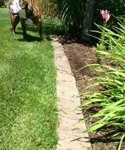 Thing Insignia 5-in L x 8-in W x 3-in H Concrete Straight Edging Stone 10 Thing Insignia 5-in L x 8-in W x 3-in H Concrete Straight Edging Stone -Landscaping Online Outlet 07921841