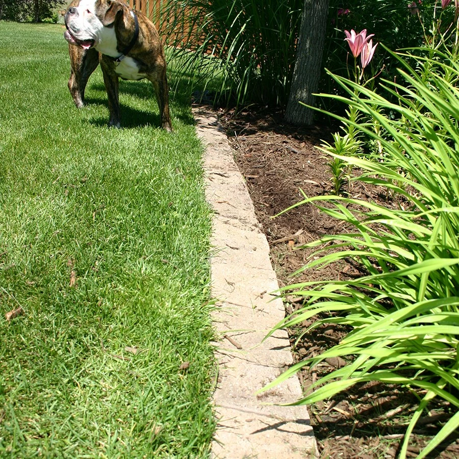 Thing Insignia 5-in L x 8-in W x 3-in H Concrete Straight Edging Stone 4 Thing Insignia 5-in L x 8-in W x 3-in H Concrete Straight Edging Stone - Image 4