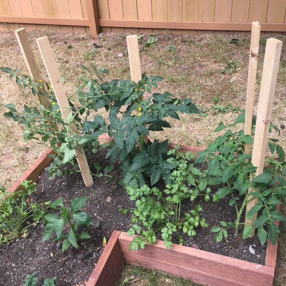 Thing Landscape Fabric & Stakes 6-Pack 60-in Wood Landscape Stakes 3 Thing Landscape Fabric & Stakes 6-Pack 60-in Wood Landscape Stakes - Image 3