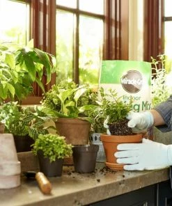 Miracle-Gro Soil & Soil Amendments Indoor 6-Quart Potting Soil Mix -Landscaping Online Outlet 08465712