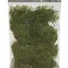 Thing Soil & Soil Amendments 90 Cubic Inch(Es) Sheet Moss