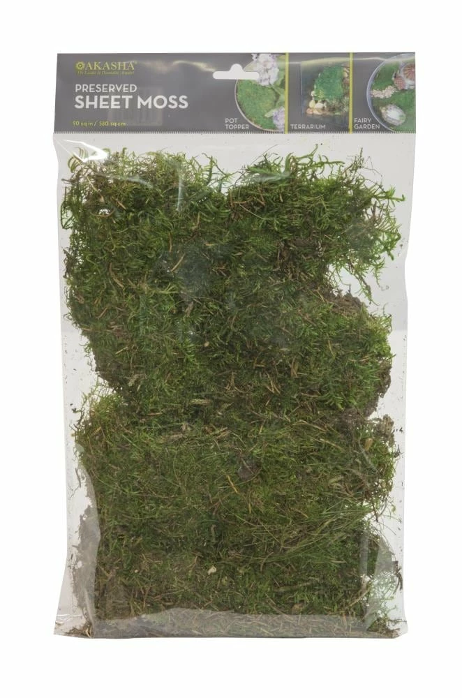 Thing Soil & Soil Amendments 90 Cubic Inch(Es) Sheet Moss 1 Thing Soil & Soil Amendments 90 Cubic Inch(Es) Sheet Moss