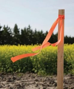 Thing Landscape Fabric & Stakes 12-Pack 12-in Wood Landscape Stake 11 Thing Landscape Fabric & Stakes 12-Pack 12-in Wood Landscape Stake -Landscaping Online Outlet 08887965