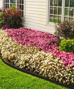 EasyFlex 20-ft Black Plastic Landscape Edging Roll 5 EasyFlex 20-ft Black Plastic Landscape Edging Roll -Landscaping Online Outlet 11270387