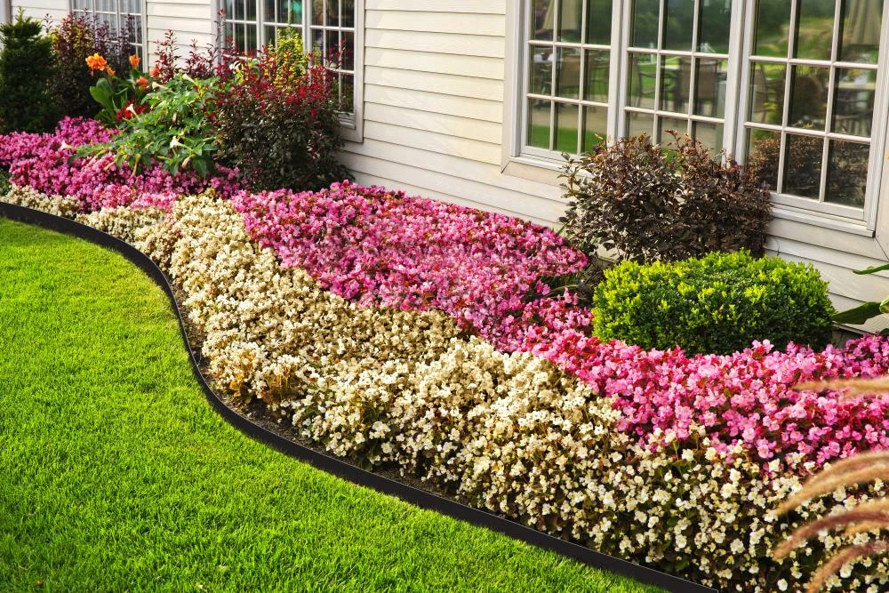 EasyFlex 20-ft Black Plastic Landscape Edging Roll 3 EasyFlex 20-ft Black Plastic Landscape Edging Roll - Image 3