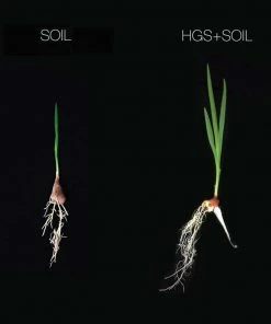 Harvest Gold Organics Soil & Soil Amendments Premium Soil Conditioner Organic Provides Organic Nutrients -Landscaping Online Outlet 12097049