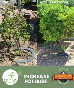 Harvest Gold Organics Soil & Soil Amendments Premium Soil Conditioner Organic Provides Organic Nutrients -Landscaping Online Outlet 12097051