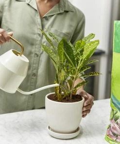 Miracle-Gro Soil & Soil Amendments Moisture Control Peat Moss Moisture Control 14 Miracle-Gro Soil & Soil Amendments Moisture Control Peat Moss Moisture Control -Landscaping Online Outlet 12190882