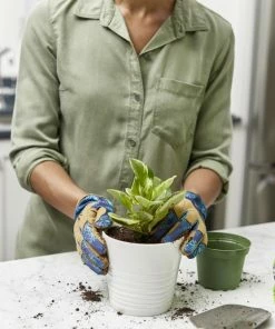 Miracle-Gro Soil & Soil Amendments Perlite Improves Soil Structure 15 Miracle-Gro Soil & Soil Amendments Perlite Improves Soil Structure -Landscaping Online Outlet 12190890