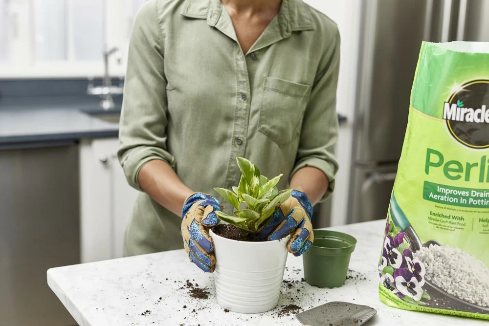 Miracle-Gro Soil & Soil Amendments Perlite Improves Soil Structure 6 Miracle-Gro Soil & Soil Amendments Perlite Improves Soil Structure - Image 6