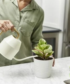 Miracle-Gro Soil & Soil Amendments Perlite Improves Soil Structure 16 Miracle-Gro Soil & Soil Amendments Perlite Improves Soil Structure -Landscaping Online Outlet 12190891