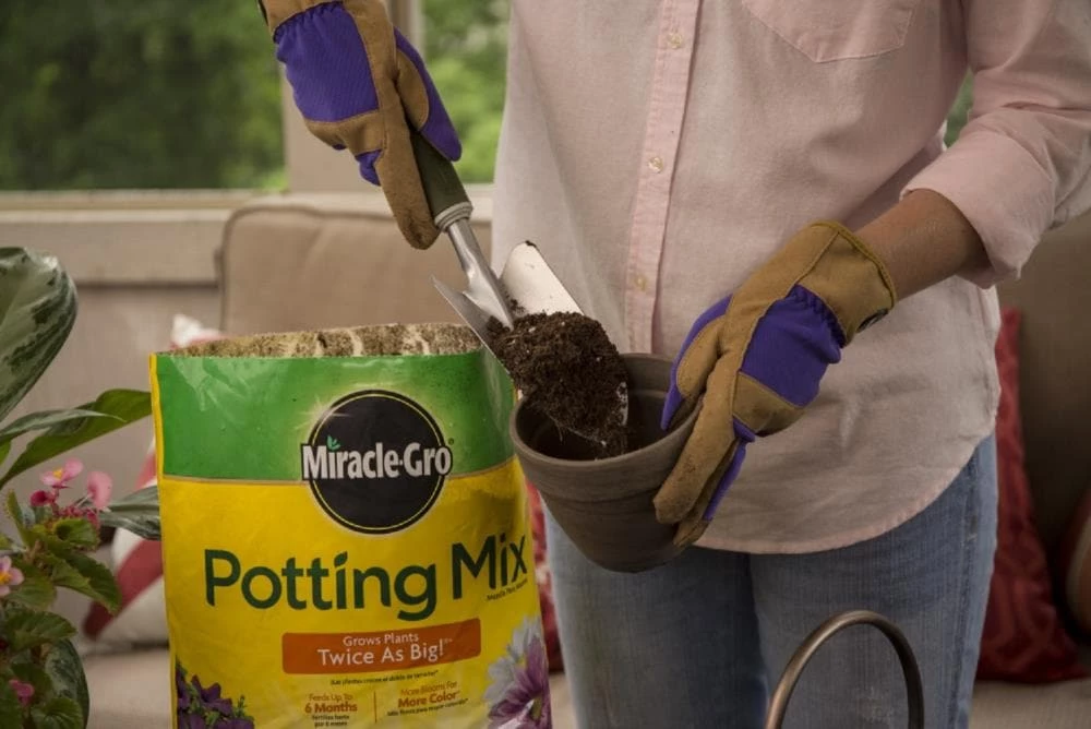 Miracle-Gro Soil & Soil Amendments All Purpose 25-Quart Potting Soil Mix 7 Miracle-Gro Soil & Soil Amendments All Purpose 25-Quart Potting Soil Mix - Image 7