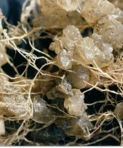 Soil Moist Soil & Soil Amendments Synthetic Polymer Moisture Control -Landscaping Online Outlet 15604162