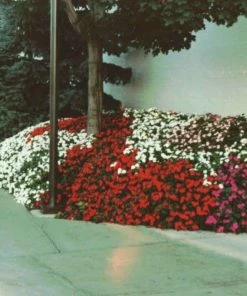 Soil Moist Soil & Soil Amendments Synthetic Polymer Moisture Control -Landscaping Online Outlet 15604164