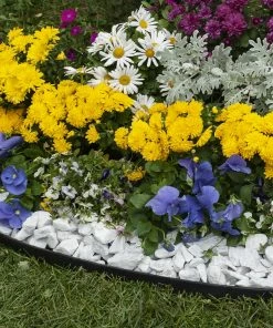 EasyFlex Heavy Duty No-Dig Landscape Edging Kit Black Landscape edging roll 6 EasyFlex Heavy Duty No-Dig Landscape Edging Kit Black Landscape edging roll -Landscaping Online Outlet 40596037