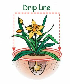 Espoma Soil & Soil Amendments Soil Acidifier Organic Ph Balancer 14 Espoma Soil & Soil Amendments Soil Acidifier Organic Ph Balancer -Landscaping Online Outlet 42665127