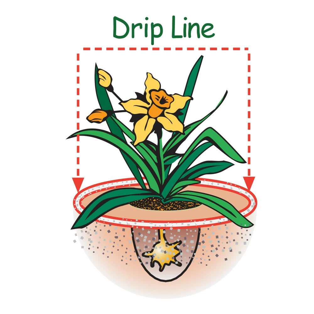 Espoma Soil & Soil Amendments Soil Acidifier Organic Ph Balancer 6 Espoma Soil & Soil Amendments Soil Acidifier Organic Ph Balancer - Image 6