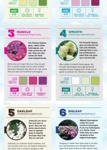 Espoma Soil & Soil Amendments Soil Acidifier Organic Ph Balancer 16 Espoma Soil & Soil Amendments Soil Acidifier Organic Ph Balancer -Landscaping Online Outlet 43201441