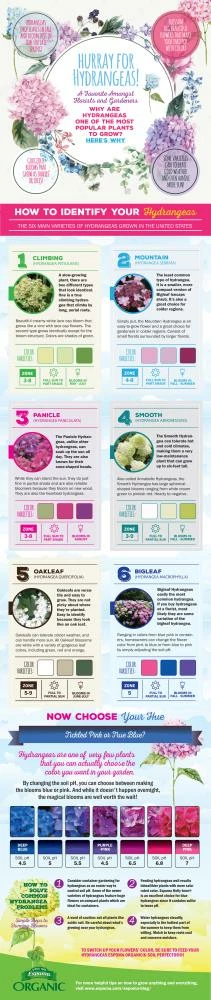 Espoma Soil & Soil Amendments Soil Acidifier Organic Ph Balancer 8 Espoma Soil & Soil Amendments Soil Acidifier Organic Ph Balancer - Image 8