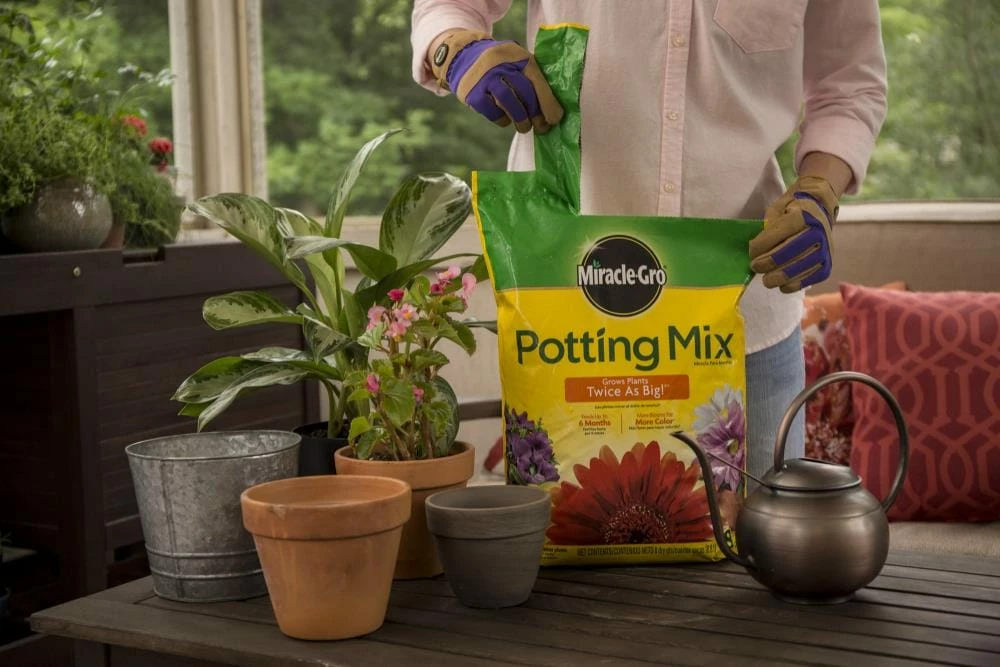 Miracle-Gro Soil & Soil Amendments Potting Mix Bundle 8-Quart Potting Soil Mix 2 Miracle-Gro Soil & Soil Amendments Potting Mix Bundle 8-Quart Potting Soil Mix - Image 2