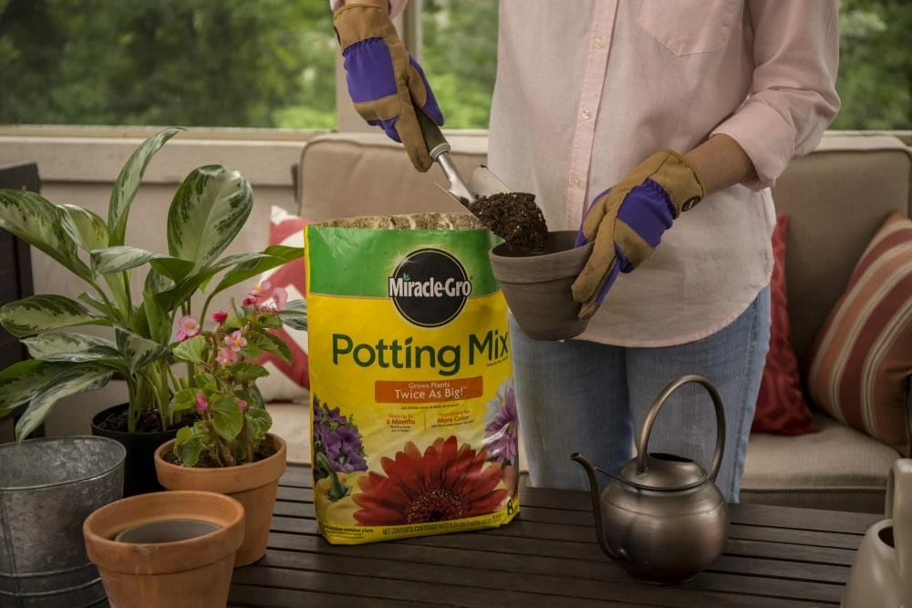 Miracle-Gro Soil & Soil Amendments Potting Mix Bundle 8-Quart Potting Soil Mix 3 Miracle-Gro Soil & Soil Amendments Potting Mix Bundle 8-Quart Potting Soil Mix - Image 3
