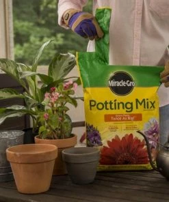 Miracle-Gro Soil & Soil Amendments Potting Mix Bundle 8-Quart Potting Soil Mix 13 Miracle-Gro Soil & Soil Amendments Potting Mix Bundle 8-Quart Potting Soil Mix -Landscaping Online Outlet 44004197