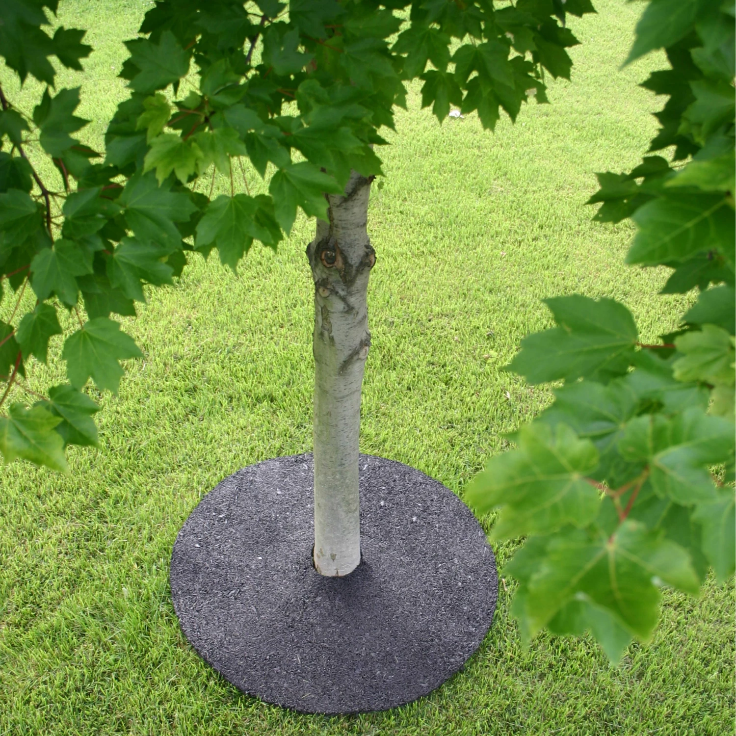 Rubberific Mulch Brown Recycled Rubber Rubber 36-in Tree Ring 8 Rubberific Mulch Brown Recycled Rubber Rubber 36-in Tree Ring - Image 8