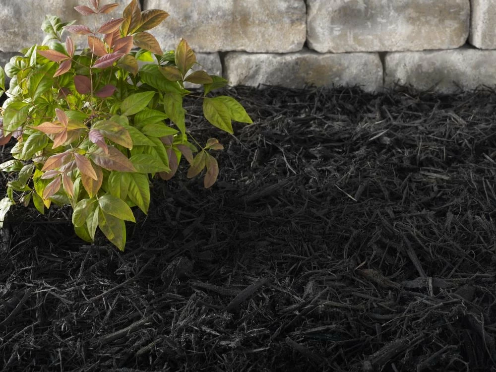 Thing Premium 2-cu ft Black Hardwood Mulch 8 Thing Premium 2-cu ft Black Hardwood Mulch - Image 8